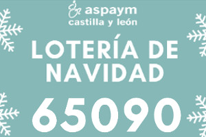 Lotería de Navidad: 65090