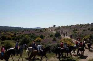 Participantes durante la marcha ecuestre