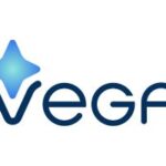 V.E.G.A. - Visualizing European Goals through Arts